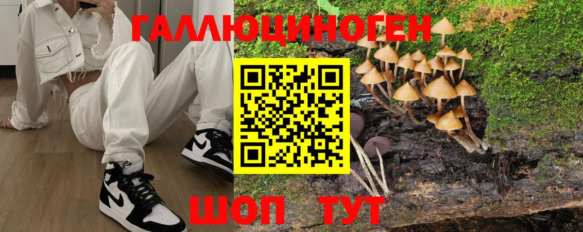 закладка  Вход с VPN  Сибай  Псилоцибиновые грибы Cubensis 