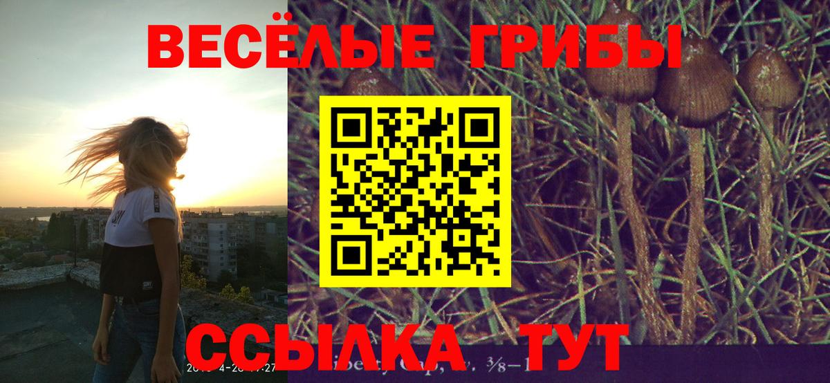 Галлюциногенные грибы MAGIC MUSHROOMS Сибай